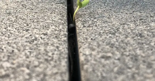 重复的力量：当积累没有达到临界点，质变永远不会发生