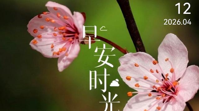 诚挚观古今文：清晨的风拂过脸庞，带着希望