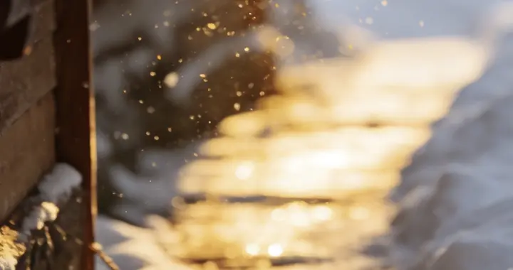 暖阳洒雪，碎光漫径，温柔藏于天地，也藏于人心