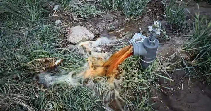 地下水变"红"：五年之痛拷问环境治理底线