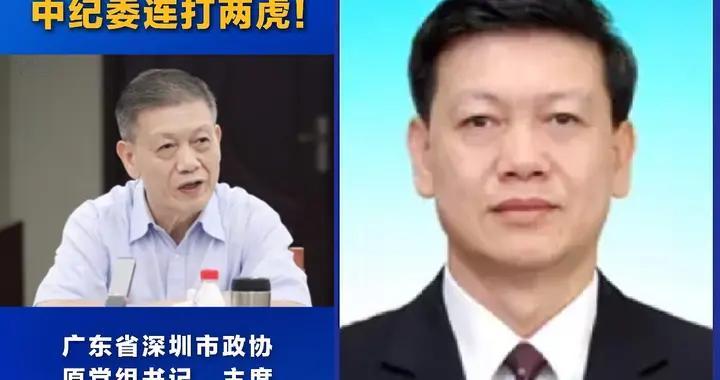 副部戴北方被开除党籍！7个岗位转一圈，最后栽在三个“没想到”