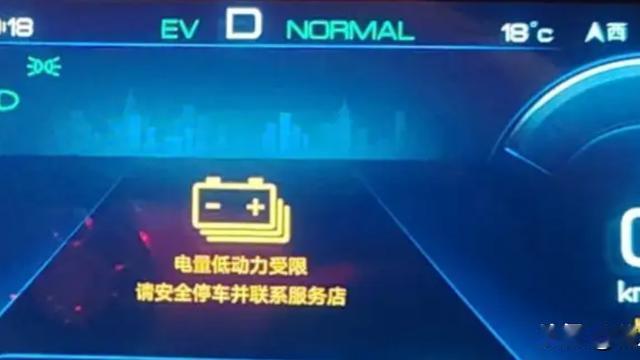 花儿朵朵1992：强制保电多少、电量高低