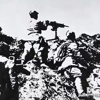 森林里倾听鸟语者：1942年4月29日