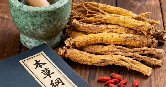 世界传统医药日 | 传承千年智慧，共筑健康未来