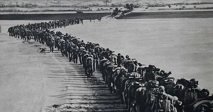 万万没想到！美国在朝战最大的败笔，不是没打赢，而是证明了中国