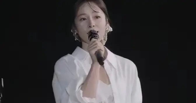 江一燕：从“捷径”到“自渡”，娱乐圈的起伏人生