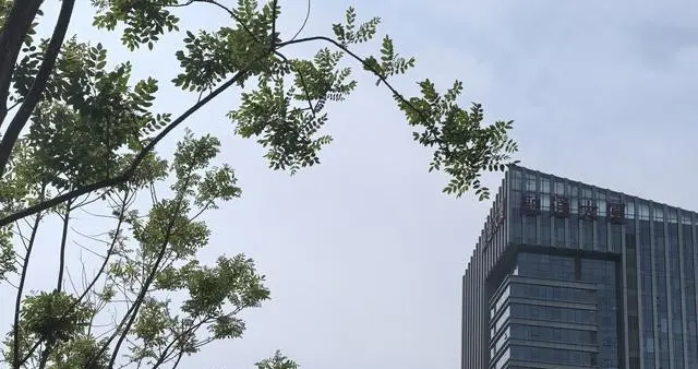 最恶毒的毁人方式，只有经历过，才知道有多崩溃无解