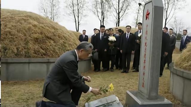 莲之心事zpl：长眠异国的英雄们，祖国派