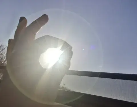 职场生存法则：从"伸手党"到独当一面的逆袭