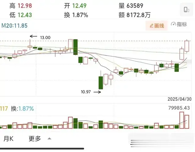 我的自选股（两只高股息概念，中线怎样？）