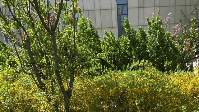 韩雷影视：这个班是非上不可吗？  不知道