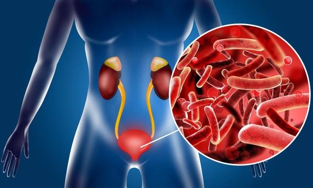 肾好持久，肝好宗筋硬、脾好了经旺、一个中成药，养好肝脾肾。