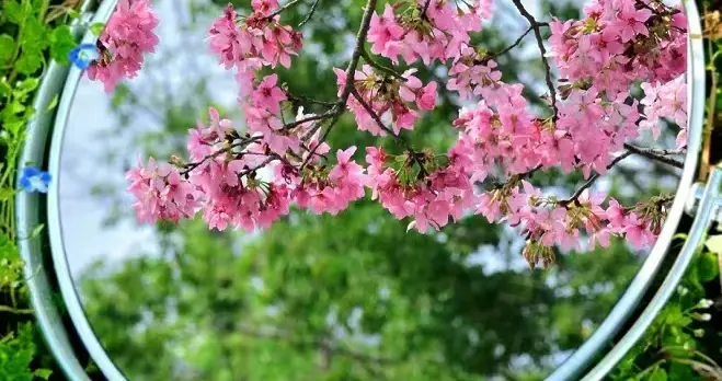 女频网文的写作方法：把握情绪很重要