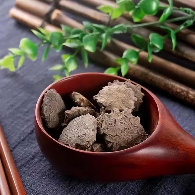 散结消肿之植物药——流星锤