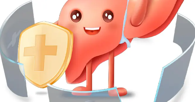 要长寿先养肝！4个中成药，疏肝、清肝、养肝、滋肝全搞定