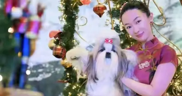 热搜！霍思燕爱犬国际比赛夺冠 杜江激动发文：开心疯了！直呼爱称