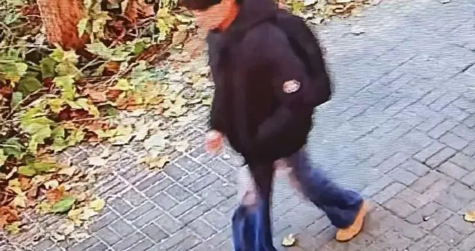 警方回应“周口男孩到洛阳旅游失踪”：溺水身亡，已排除刑案可能