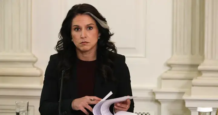 加巴德怒斥路透社，美欧裂痕下的“战争与和平”博弈