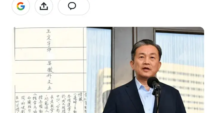 喊台独最凶的王定宇竟曾是国民党卧底 黑熊青鸟被玩弄股掌间真悲哀