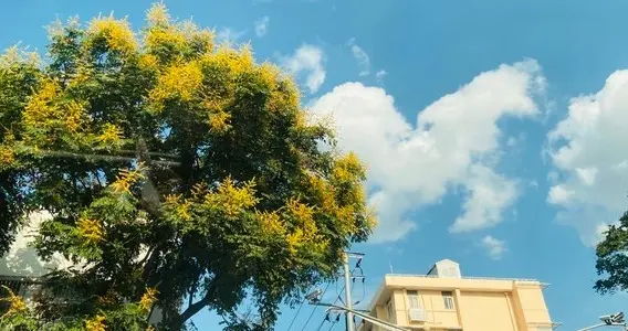“八月怕廿十”，今日八月廿十，有啥说法？别忘了告诉家人