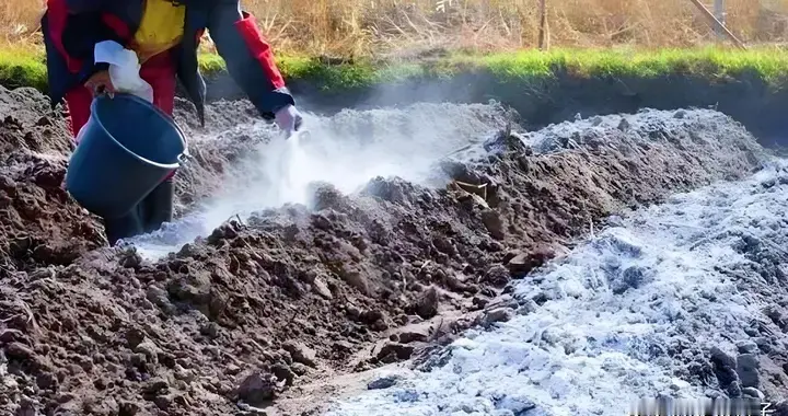 生石灰给菜地消毒的核心前提：先测土壤酸碱，再按蔬菜喜好调整