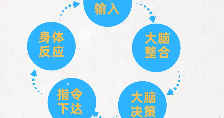生活无处不感统！这些隐藏训练天天能做，别等失调才后悔