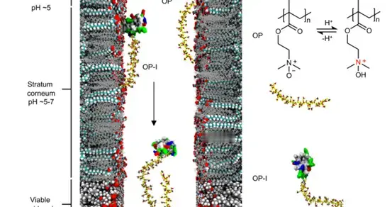 不打针啦！浙大Nature发文，胰岛素透皮给药，糖尿病无痛治疗不是梦 ...