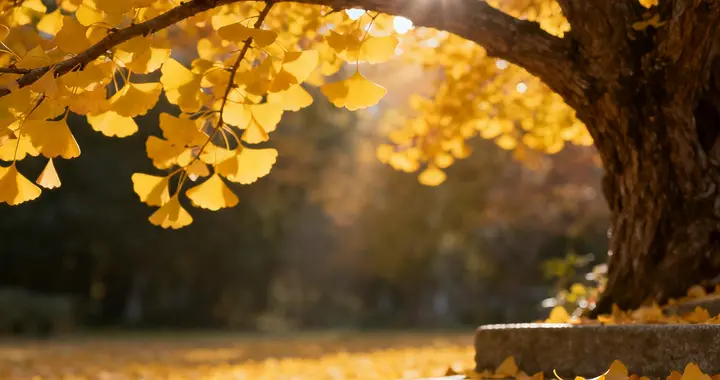 孤棠拾韵｜今人42首七言绝句雅辑｜清吟寄意｜尽写尘间心