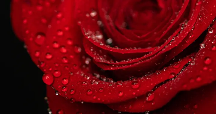 越过越好的人，都有这5种习惯