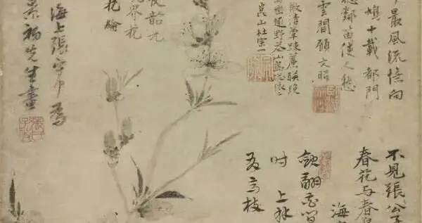 张中《桃花幽鸟图》藏着元明文人的"朋友圈"，题诗唱和比画还热闹