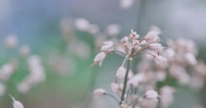 端午甲子破日扫旧秽，牢记3件事，安稳过五月