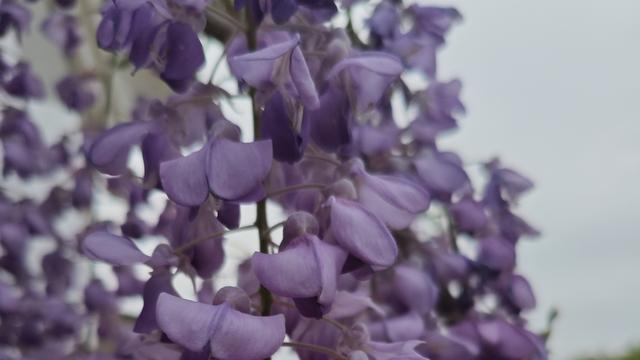 文元：柏拉图式的精神