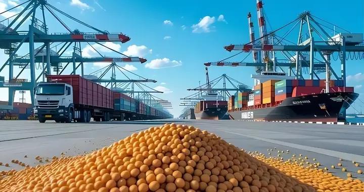 中储粮有多硬？从被外资吞掉85%产能，到2000万吨产量守住口粮线