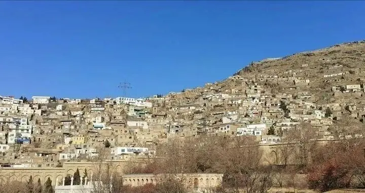 看着苏木这笔账算得清清楚楚：欧美撒币无数