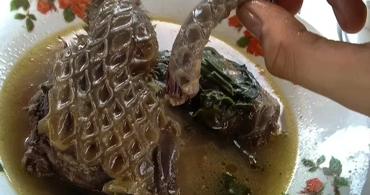 1只就刑！19年江苏老板为讨好大客户,买3只千元一斤的"山球"尝鲜