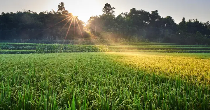 “尾数藏金，富贵会来”，这5个农历生日尾数人，聪明，最会赚钱