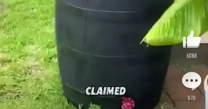 自家院子雨水成罪证：严苛法律如何浇灭人性微光