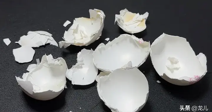 扔鸡蛋壳等于扔钱，放在一次性口罩里，太厉害了，学到就是赚到
