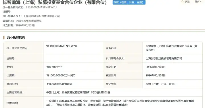 中微半导体、阿里巴巴等联合出资，近40亿元私募股权基金成立