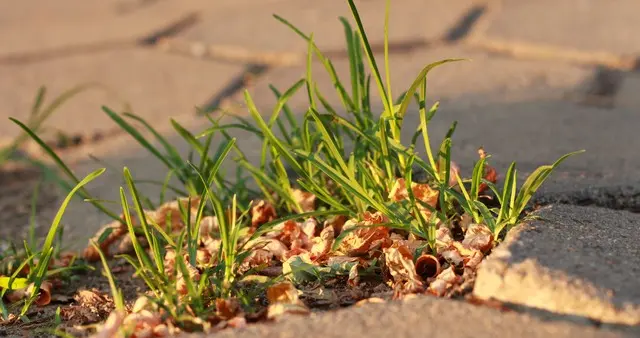 远离那些身边寸草不生的人