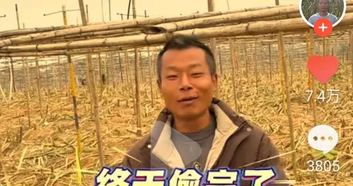 峨眉山，换种玩法，收获涨停，看到“偷甘蔗”的创意影子