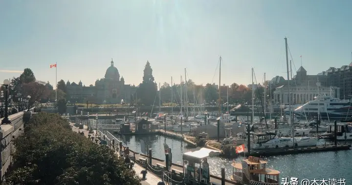 阿特伍德：格特鲁德的反驳