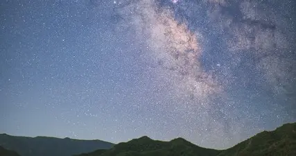 晚风温柔，也沉醉，她以惯有的姿势，潜入长长的黑夜‖秀川
