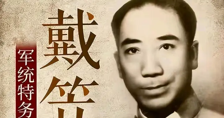 戴笠可随意处置国军高官？根本不是，因为他都不配给何应钦站岗！