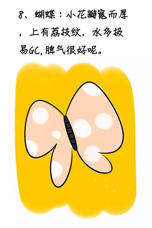 女生下面长什么样子最受男生欢迎