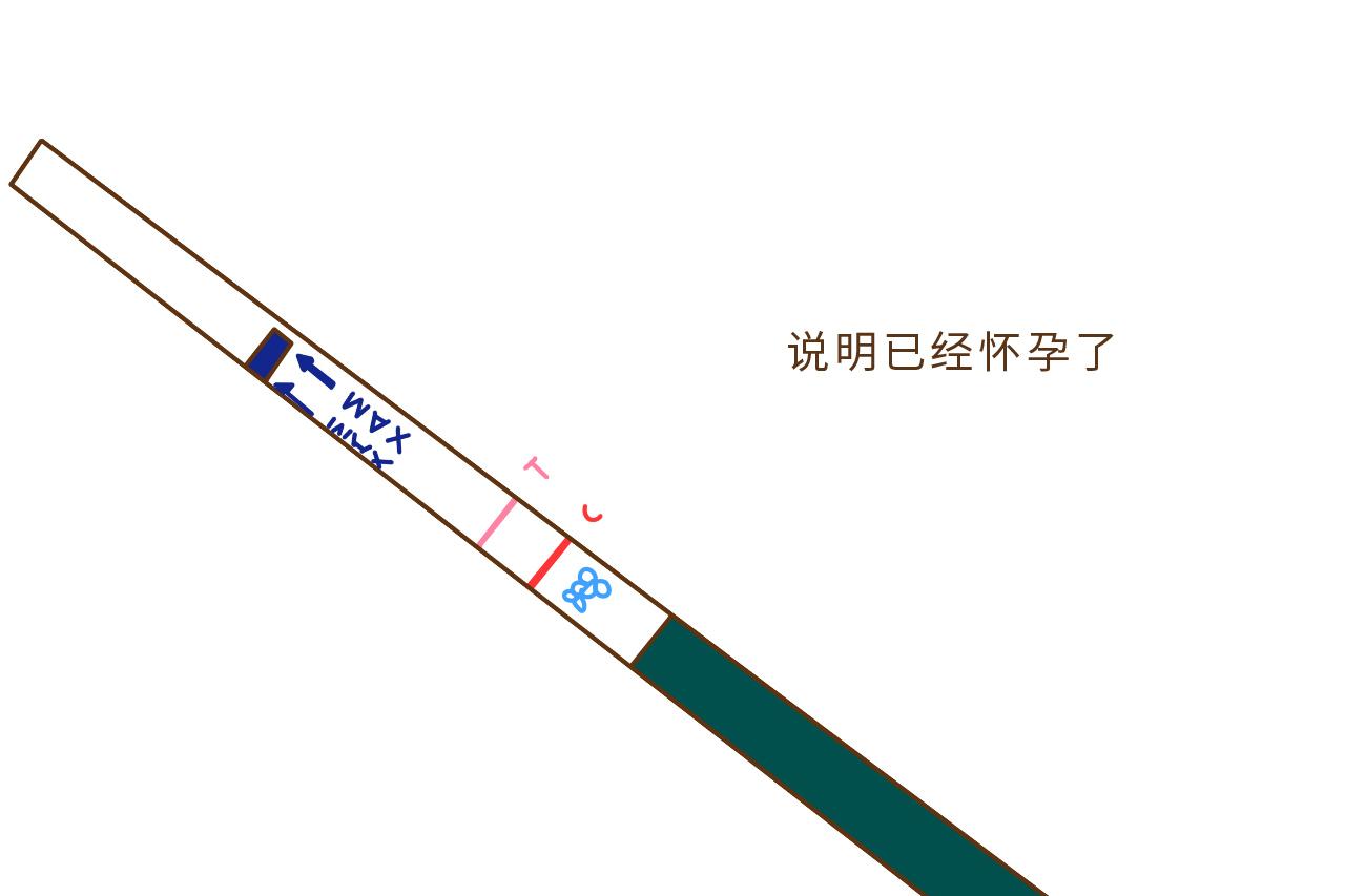 你会使用早孕试纸吗? 妇产科医生表示, 也许你就看不懂