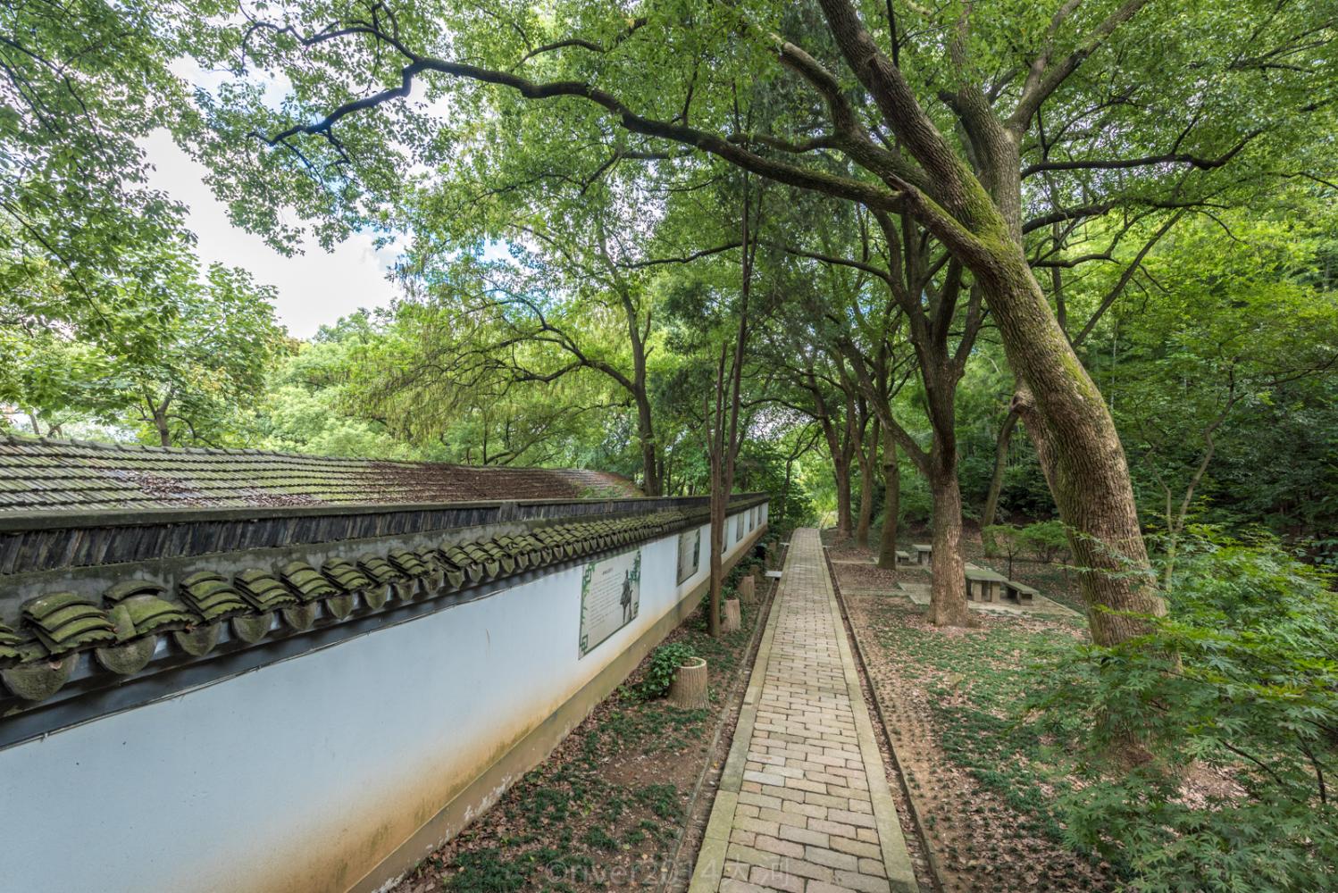天马山是一座小型的森林公园,游客不多,交通也不是太方便.