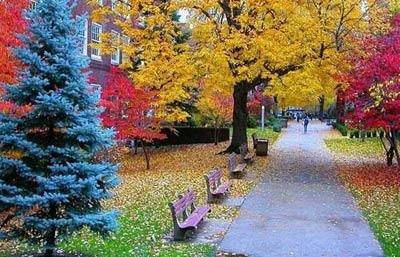 考研与高考无关?NO!_零点高三