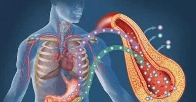 人为什么会得糖尿病, 不是糖吃得太多尿出去了