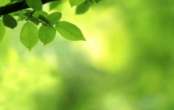 哪些在职研究生证书可以评定职称?